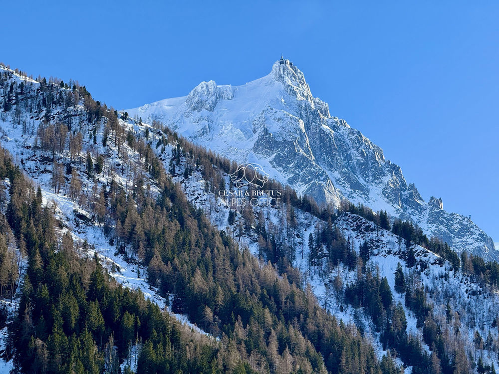 � vendre  Appartement Chamonix-Mont-Blanc (74400)