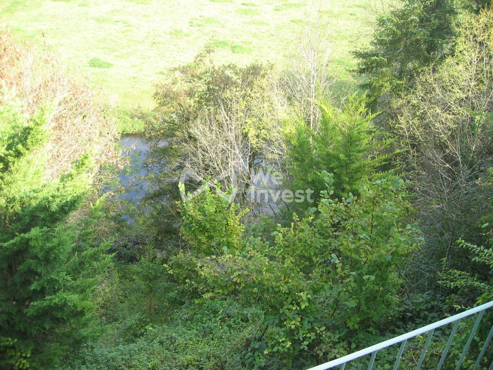 � vendre  Propri�t�/ch�teau Arcy-sur-Cure (89270)