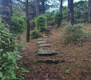  Maison � vendre 6 pi�ces 256 m�