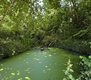  Terrain � vendre 6238 m�