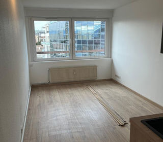  Appartement � vendre 1 pi�ce 33 m�