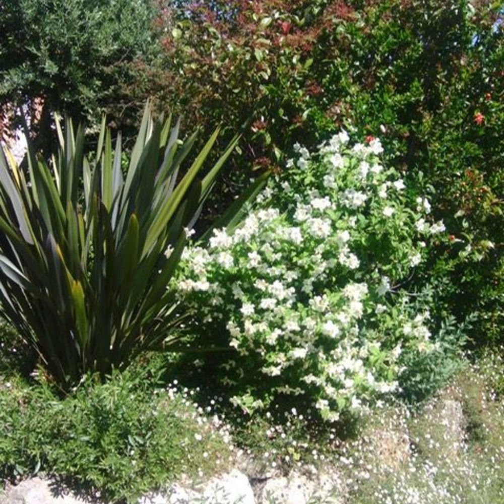 � vendre  Maison Vence (06140)