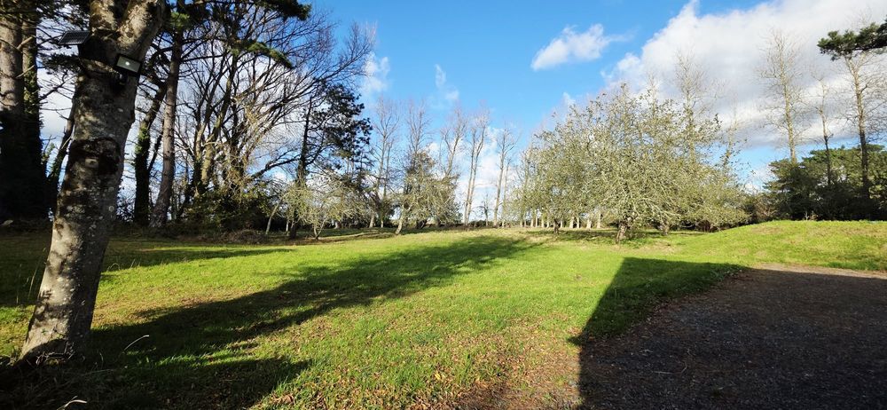 � vendre  Maison Tr�drez-Locqu�meau (22300)