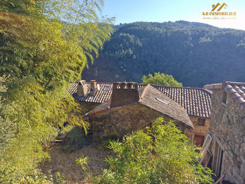   Maison � vendre Saint-Sauveur-de-Montagut Maison - 8 pi�ce(s) - 195 m�