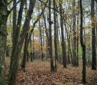  Maison � vendre 8 pi�ces 240 m�