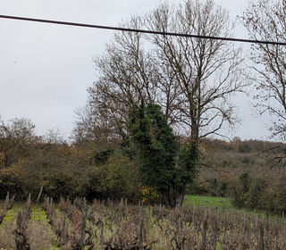  Terrain � vendre 780 m�