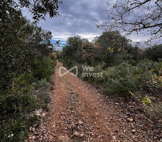  Terrain � vendre 33565 m�