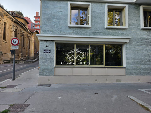 Immobilier Professionnel &agrave; louer Caluire-et-Cuire 940 69300 Caluire-et-cuire