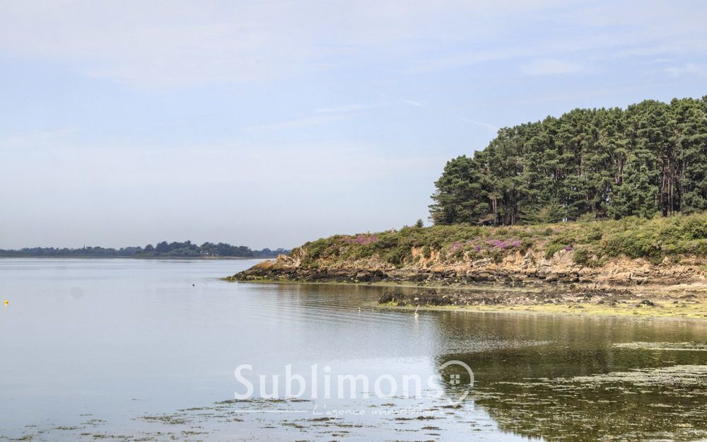 � vendre  Maison S�n� (56860)