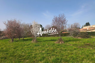  Terrain � vendre 11647 m�