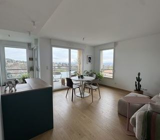  Appartement � vendre 2 pi�ces 46 m�