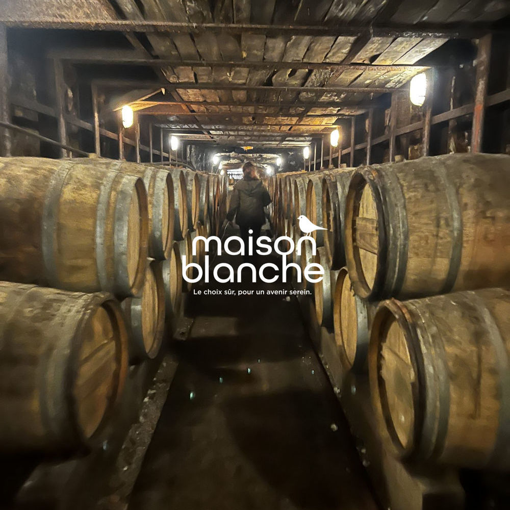 � vendre  Propri�t�/ch�teau Saumur (49400)