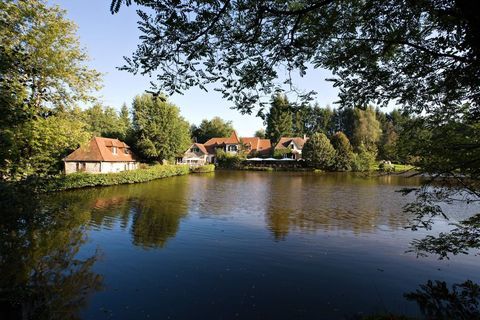 MURS & FONDS - TABLE D'EXCEPTION + CHAMBRES - 87 1644000 87000 Limoges