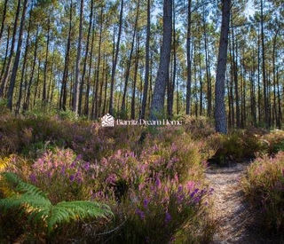  Terrain � vendre 679 m�