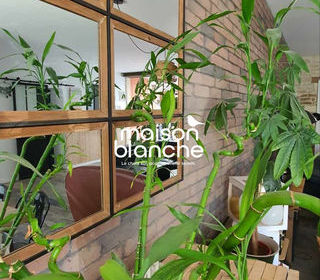  Maison � vendre 7 pi�ces 181 m�