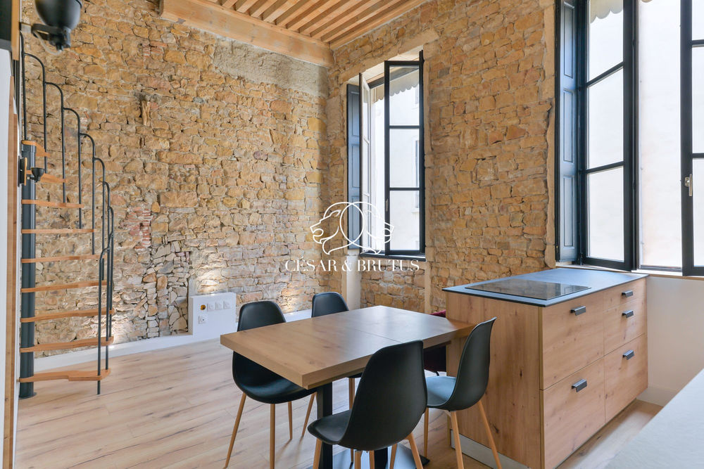 � vendre  Appartement Lyon 2