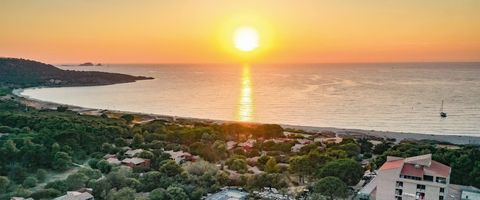   Appartement � vendre Belgod�re Appartement - 1 pi�ce(s) - 17 m�