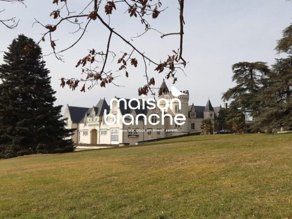 � vendre  Propri�t�/ch�teau Saumur (49400)