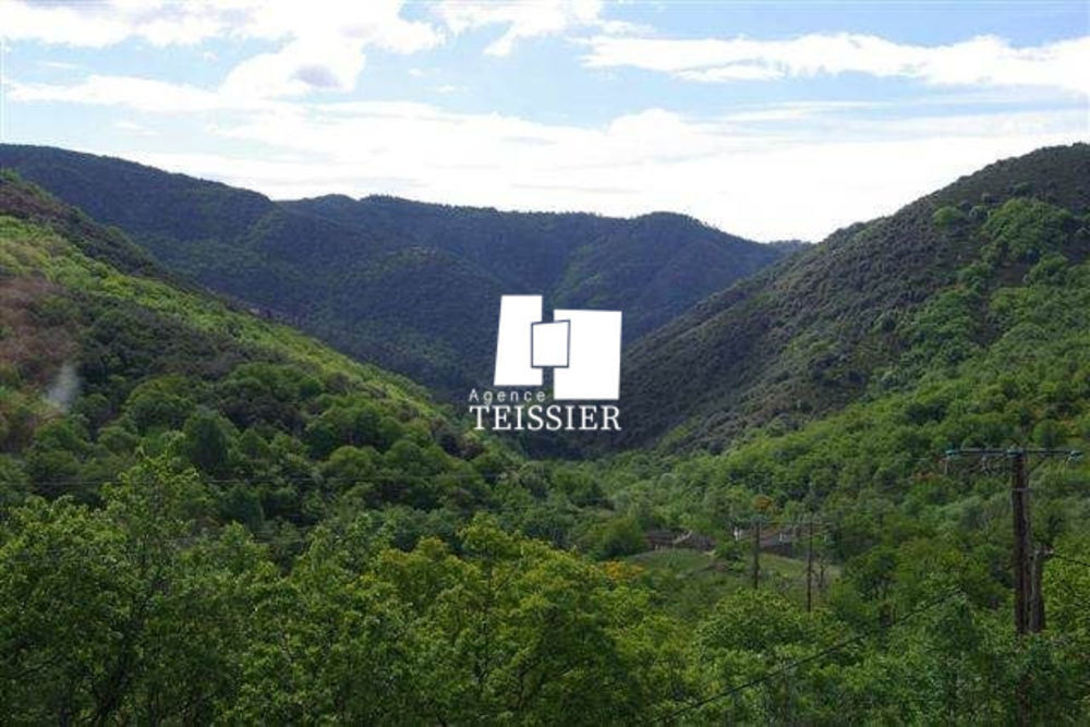 � vendre  Propri�t�/ch�teau Malarce-sur-la-Thines (07140)