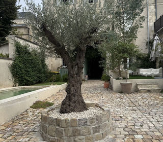  Maison � vendre 10 pi�ces 350 m�