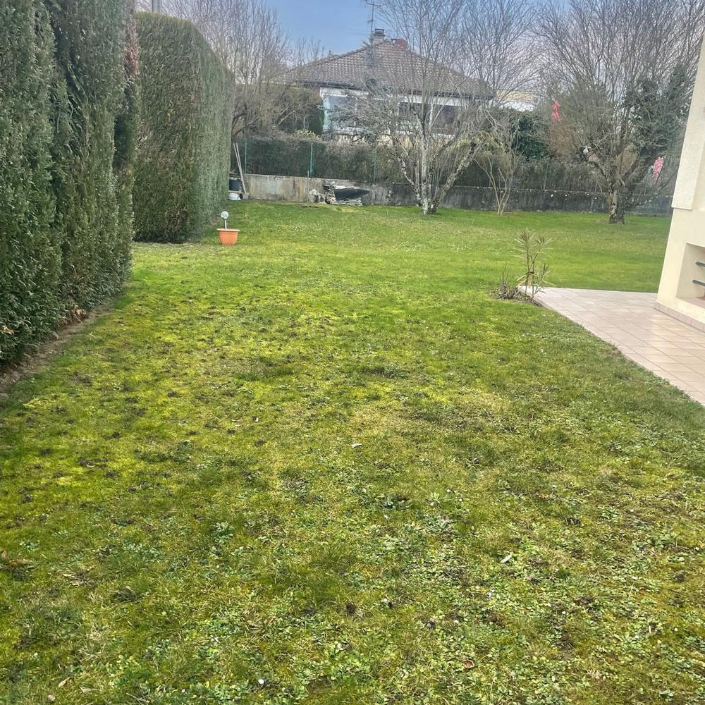� vendre  Maison Cranves-Sales (74380)