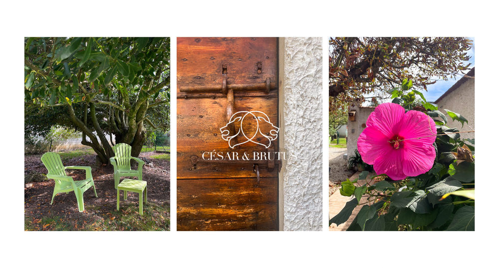 � vendre  Maison Montluel (01120)