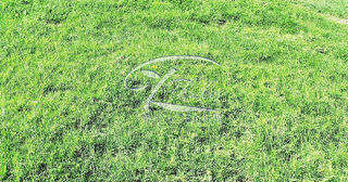  Terrain � vendre 343 m�