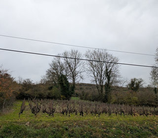  Terrain � vendre 780 m�