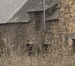  Maison � vendre 1 pi�ce 50 m�