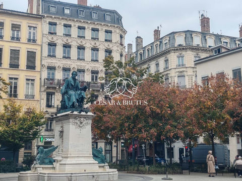 Murs commerciaux &agrave; vendre -LYON 02 AMPERE 207900 69002 Lyon