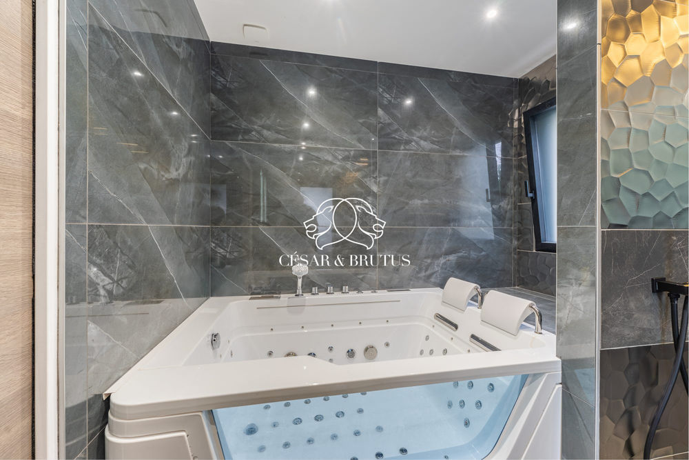 � vendre  Maison Satolas-et-Bonce (38290)