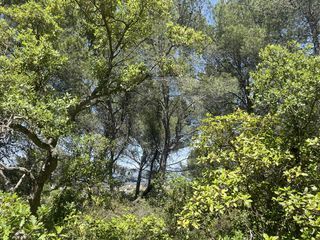  Terrain � vendre 8590 m�