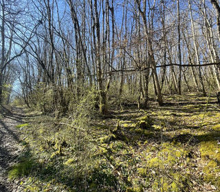  Terrain � vendre 3498 m�