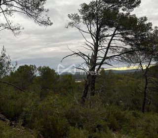  Terrain � vendre 14680 m�