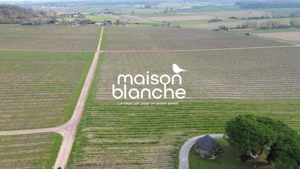 � vendre  Propri�t�/ch�teau Saumur (49400)