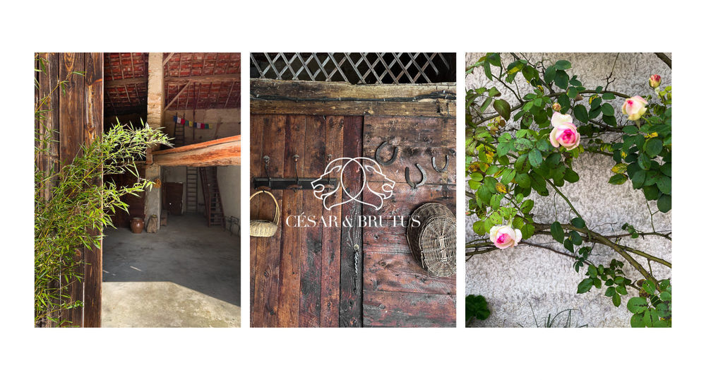 � vendre  Maison Montluel (01120)