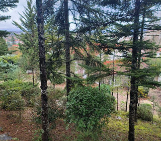  Maison � vendre 6 pi�ces 256 m�