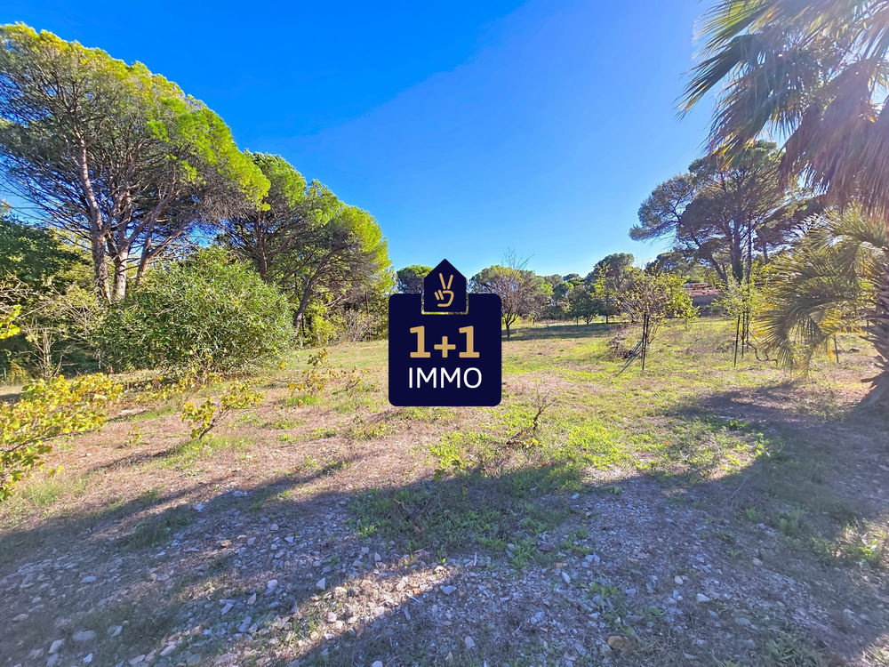 � vendre  Maison Fayence (83440)