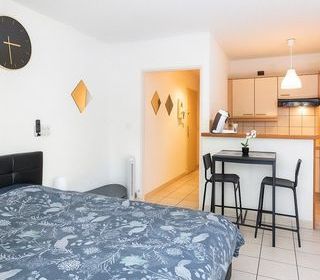  Appartement � vendre 1 pi�ce 26 m�