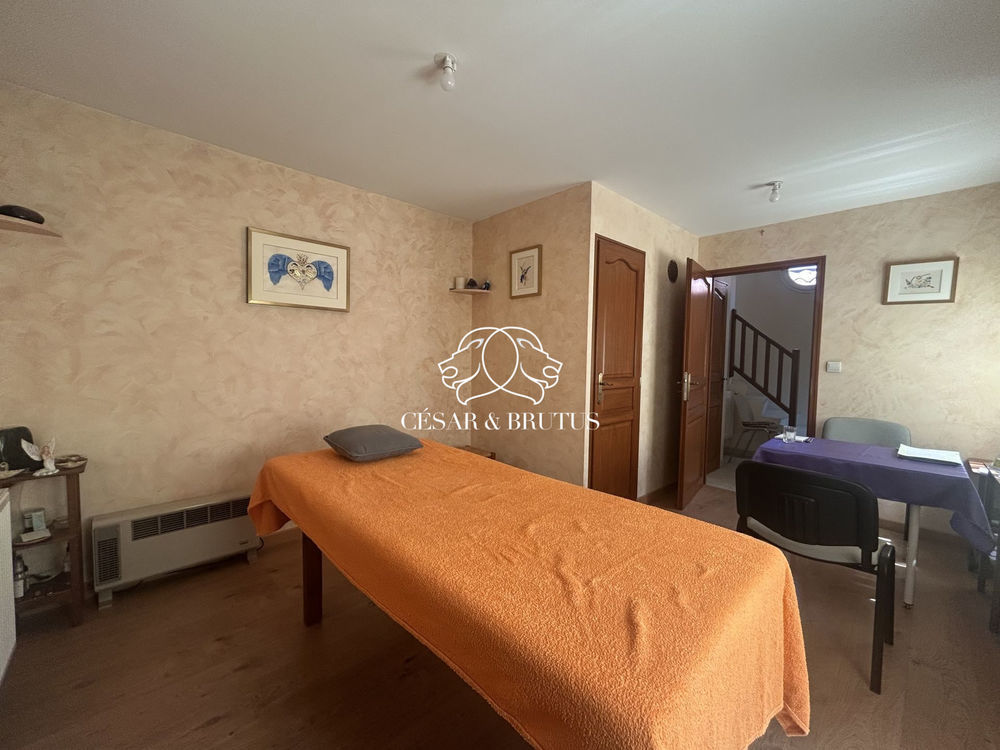 � vendre  Maison Villeurbanne (69100)