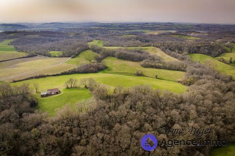   Ancienne ferme bearnaise, 20ha, vue sur les pyr�n�es, a r�hab Maison - 6 pi�ce(s) - 150 m�