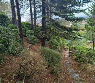  Maison � vendre 6 pi�ces 256 m�