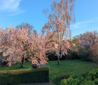  Maison � vendre 6 pi�ces 142 m�