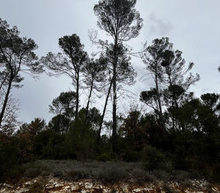  Terrain � vendre 5085 m�