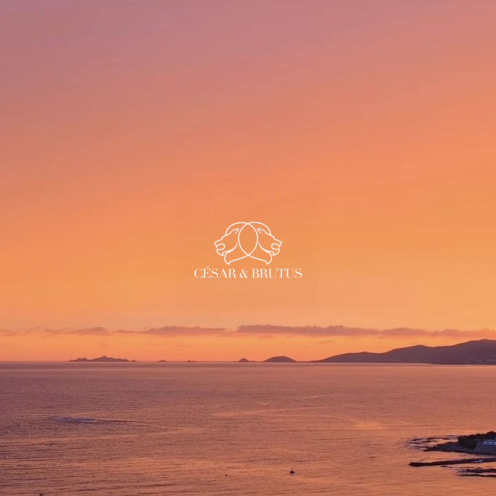 � vendre  Maison Bonifacio (20169)