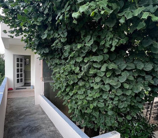  Maison � vendre 5 pi�ces 135 m�