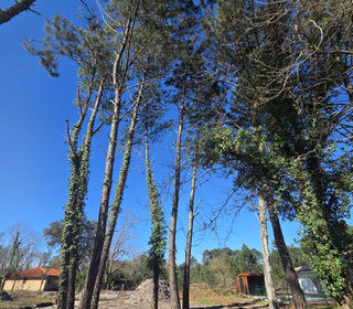  Terrain � vendre 567 m�