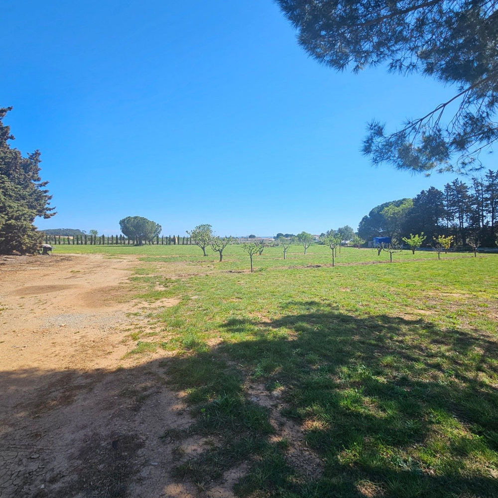 � vendre  Maison Sall�les-d'Aude (11590)