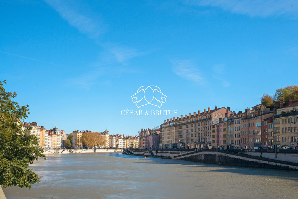 � vendre  Appartement Lyon 1