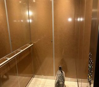  Parking / Garage � vendre 12 m�